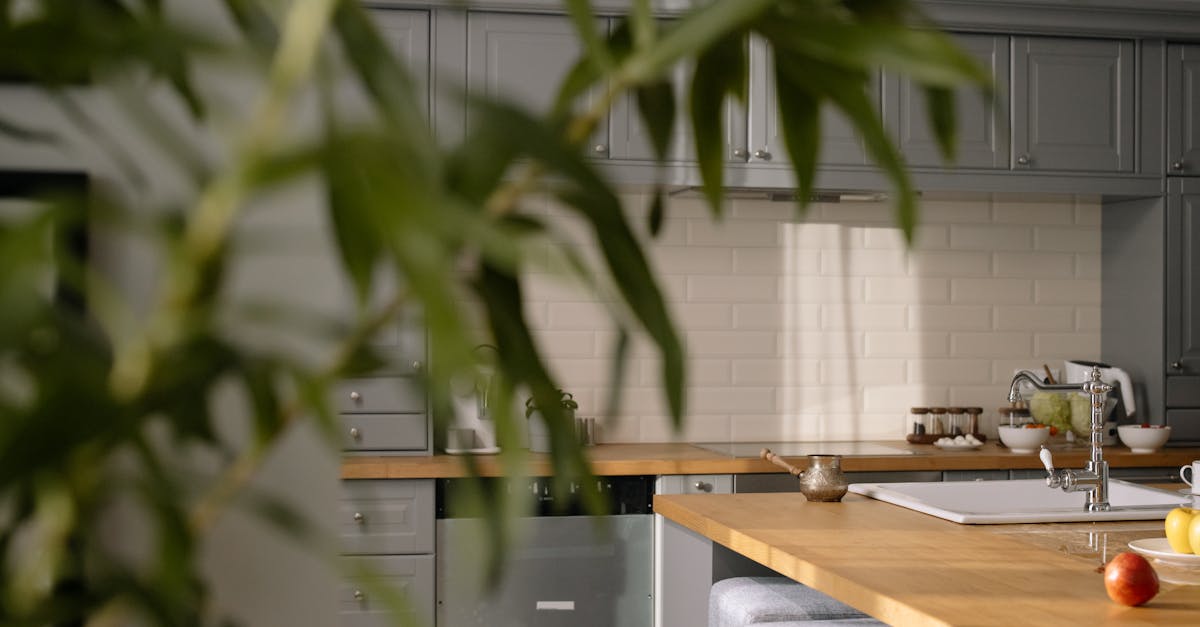 Integrating Appliances for Maximum Efficiency in U-Shaped Kitchens