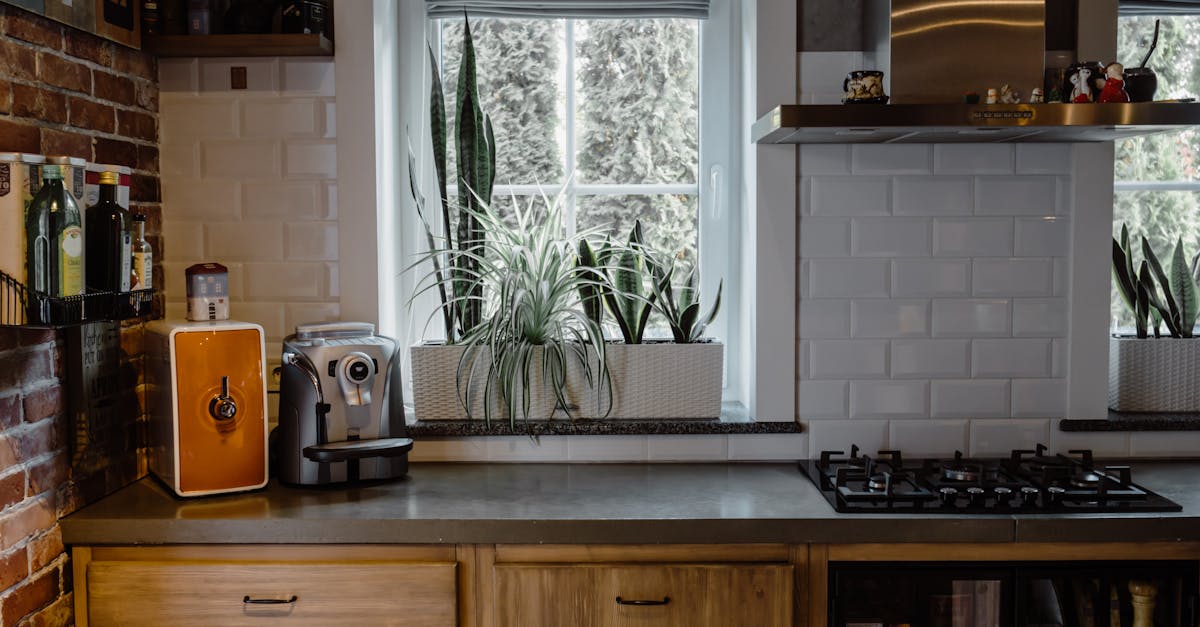 Stylish U-Shaped Kitchens: Balancing Function and Aesthetics
